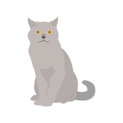 Vector illustration of grey cat in cartoon flat style. Cute pet animal in different pose. Animal icon on white isolated background