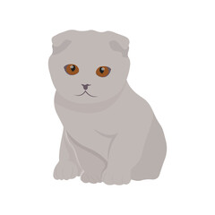 Vector illustration of grey cat in cartoon flat style. Cute pet animal in different pose. Animal icon on white isolated background