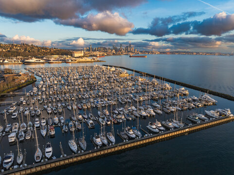 Aerial view of Smith Cove Marina with beautiful boats and a serene skyline at sunset, Seattle, United States.