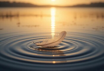 A single feather floating on calm water at sunset, creating a serene and peaceful atmosphere. Perfect for nature, relaxation, and mindfulness themed projects.