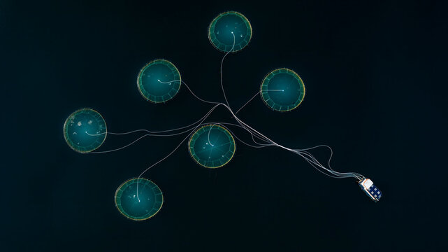 Aerial view of serene aquaculture nets in tranquil waters with a beautiful ocean backdrop, Senja Island, Lofoten, Norway.