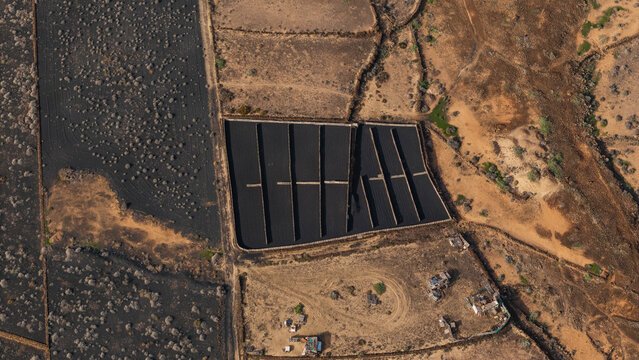 Aerial view of traditional vineyard with dry stone walls in a dry landscape, Lanzarote island, Spain.