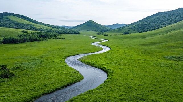 An aerial shot captures the natural river running through the forest