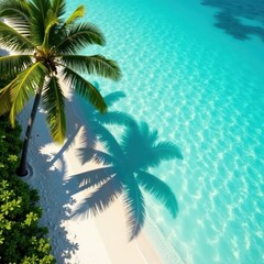 Fototapeta premium Long palm shadow stretches across turquoise water, coastline, calm