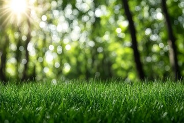 Naklejka premium Spring or Summer Nature Background with Blurred Green Grass and Sunlight Bokeh, Ideal for Text Overlay. Central Focus Area for Product Placement in Banner Template.