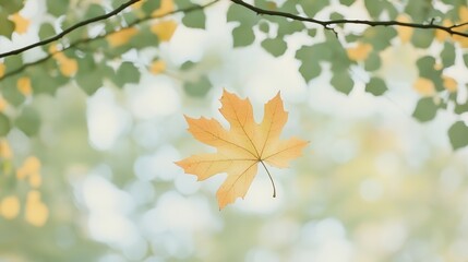 Obraz premium A vibrant yellow leaf floats gracefully amid green foliage, capturing the essence of autumn's beauty in a serene, blurred background.