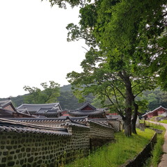 돌담