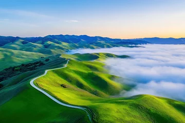 Gardinen Aerial view of hill landscape with winding road and fog during sunrise in a tranquil setting © Philippova