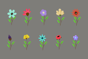 Set of spring flowers vector illustration, Bundle of spring flowers vector illustration, set of flowers