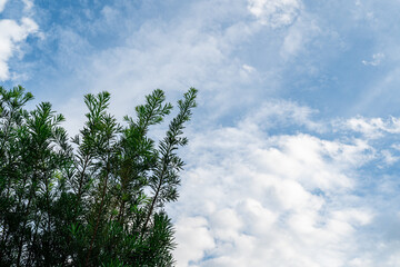 blue sky with clouds