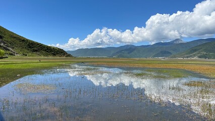Napa Sea (Napahai) located about 30 minutes from the town of Shangri-La offering awesome views of the lake, grassland, tall mountains and endless horizon