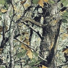 Oak Tree Forest Hunting Camouflage, Seamless Pattern Texture