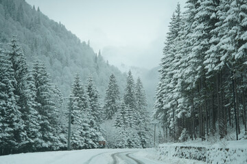 Obraz premium Snow-covered road. Winter landscape.