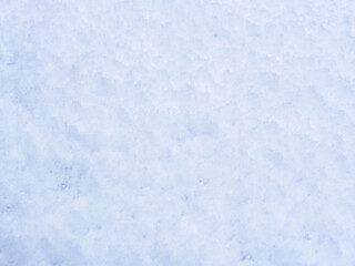 降り積もったばかりの新雪04