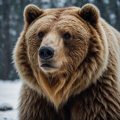 Obraz premium A bear with golden fur, looking like a guardian spirit, against white.