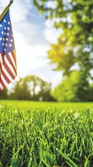 American Flag in Lush Green Grass on a Sunny Day