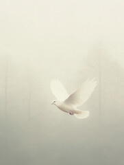 Elegant white dove in mid-flight with misty backdrop