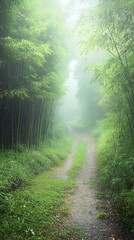 Obraz premium Misty Bamboo Forest Path: A Serene Journey