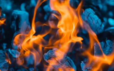 Fototapeta premium hot coals burning in a fireplace