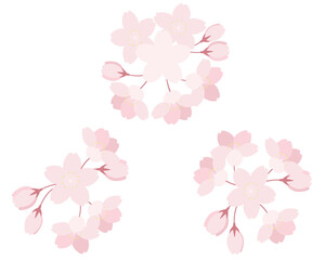 桜の花のイラストセット　さくら　ソメイヨシノ