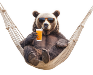 bear lounging in hammock, sipping drink while wearing sunglasses, exudes relaxed and carefree vibe