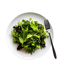 A simple, elegant plate of mixed greens with a vinaigrette dressing, placed on a white background. Transparent background



