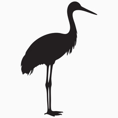 crane isolated on white silhouette