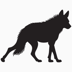 hyena isolated on white silhouette
