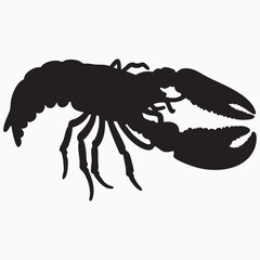 lobster isolated on white silhouette