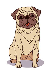 Pug dog sitting cartoon style adorable pet illustration with beige fur brown ears and tongue out against white background