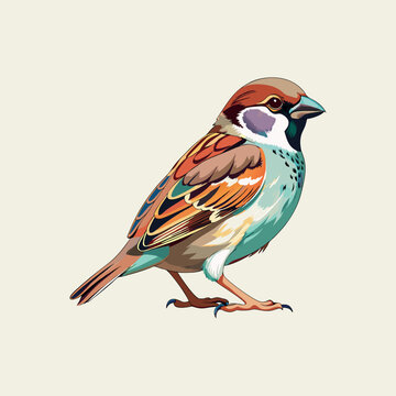 Colorful parrow bird hand painted art vector image artwork illustration
