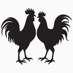 roosters isolated on white silhouette
