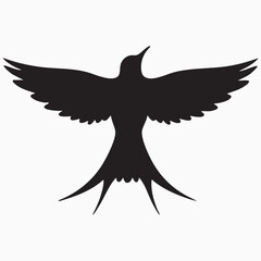 swallow isolated on white silhouette