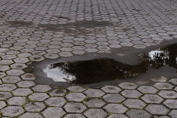 Wet hexagonal concrete tiles with small puddles of water.