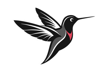hummingbird and flower
