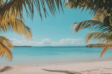 Fototapeta premium Tropical beach paradise with palm trees and clear blue skies
