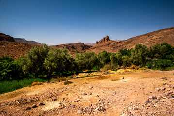2024 03 15 Jebel Saghro Atlas oasis 109
