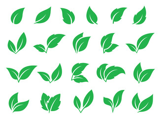 green leaves, branches set leaf icons