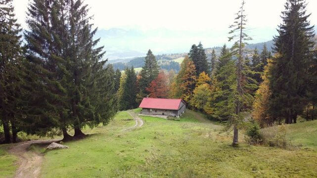 Wooden shed with a red roof standing on a green field next to a forrest in Bavaria, Germany