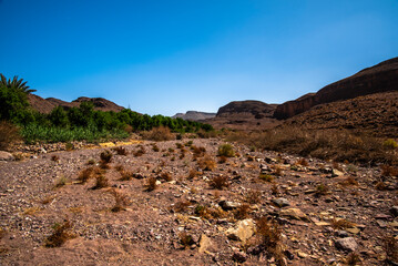 2024 03 15 Jebel Saghro Atlas oasis 118