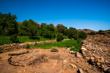 2024 03 15 Jebel Saghro Atlas oasis 119