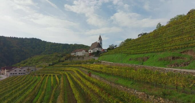 Aerial shot, low altitude,slowly ascending over vineyards and nearing abby of senftenberg, overcast day with structured clouds