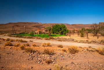 2024 03 15 Jebel Saghro Atlas oasis 122