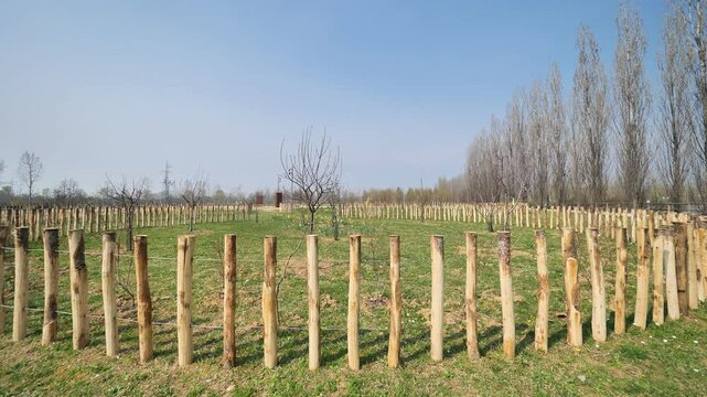 Memory field in trucca Park, Lombardy, Italy