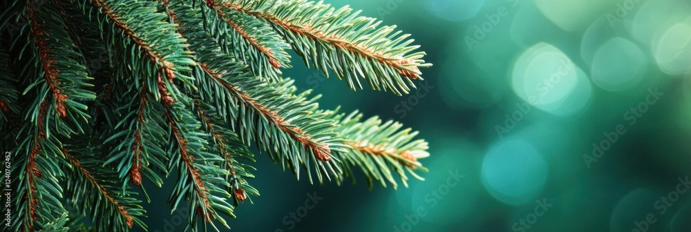 Aufkleber beautiful evergreen tree branches surrounded by a blurred background in serene natural setting durin