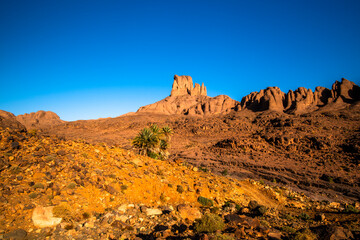 2024 03 15 Jebel Saghro Atlas panorama 14