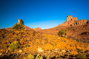 2024 03 15 Jebel Saghro Atlas panorama 13