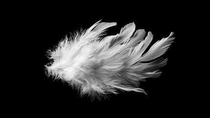 Obraz premium White feather of a bird on a dark background close up macro