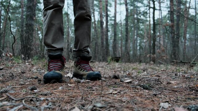 Hiking in forest. Tourist shoes in forest park. Adventure tourist on vacation. Legs of tourist in forest park. Trekking