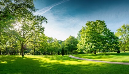 Naklejka premium lush parkland with vibrant greenery